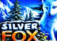 Silver Fox Slot online