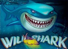 Wild Shark Slot Online